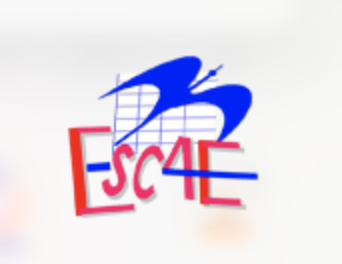 L'ESCAE DE NIAMEY